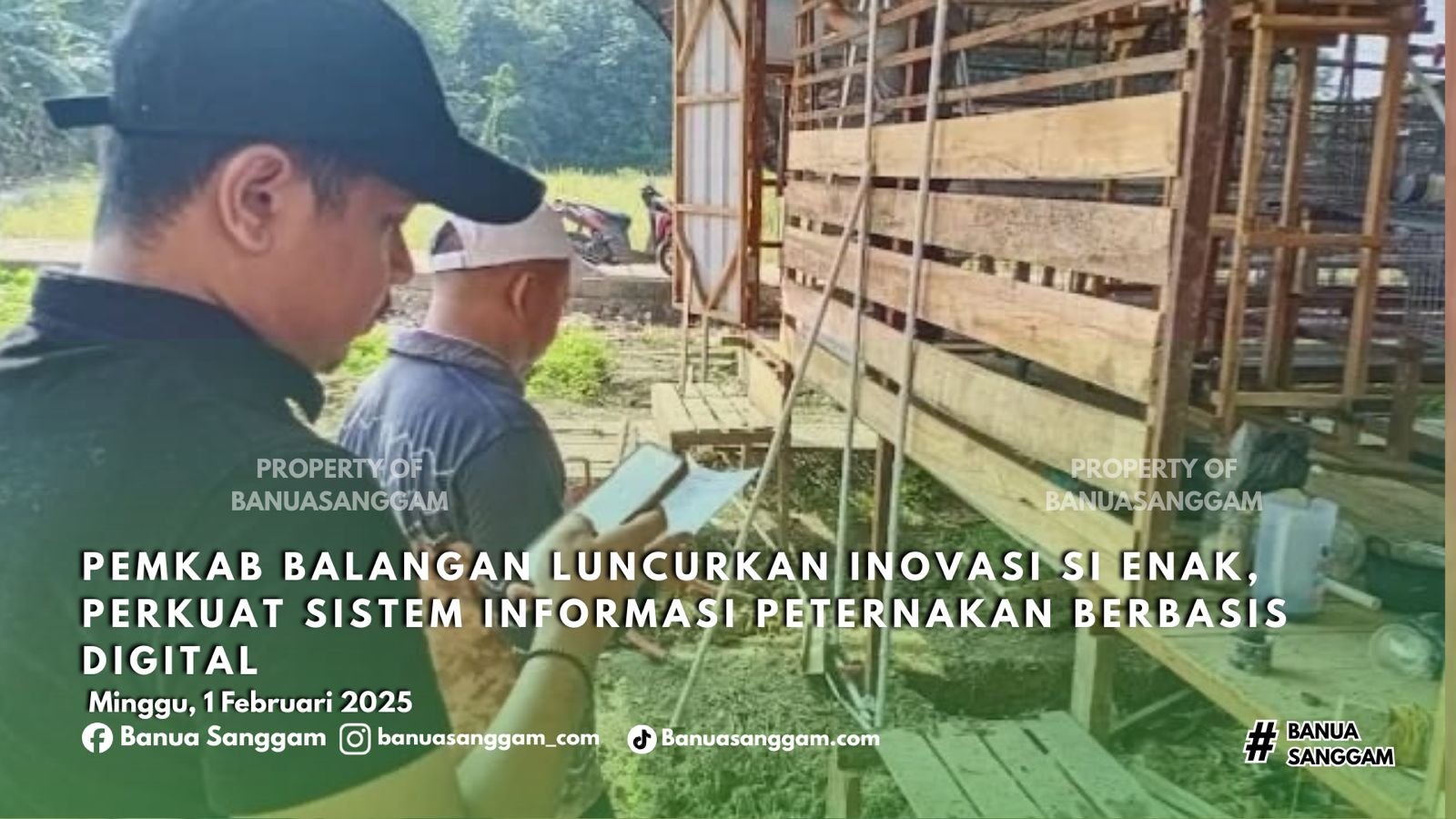 PEMKAB BALANGAN LUNCURKAN INOVASI SI ENAK, PERKUAT SISTEM INFORMASI PETERNAKAN BERBASIS DIGITAL