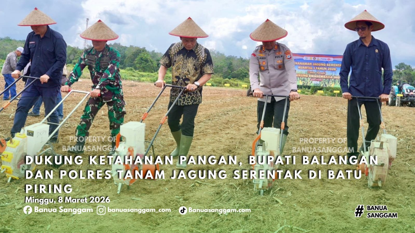 Dukung Ketahanan Pangan, Bupati Balangan dan Polres Tanam Jagung Serentak di Batu Piring
