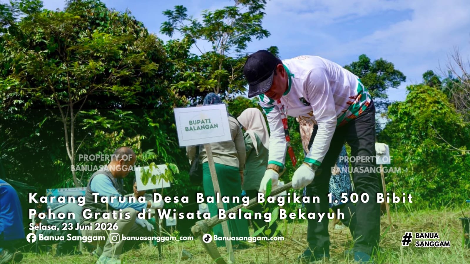 Karang Taruna Desa Balang Bagikan 1.500 Bibit Pohon Gratis di Wisata Balang Bekayuh