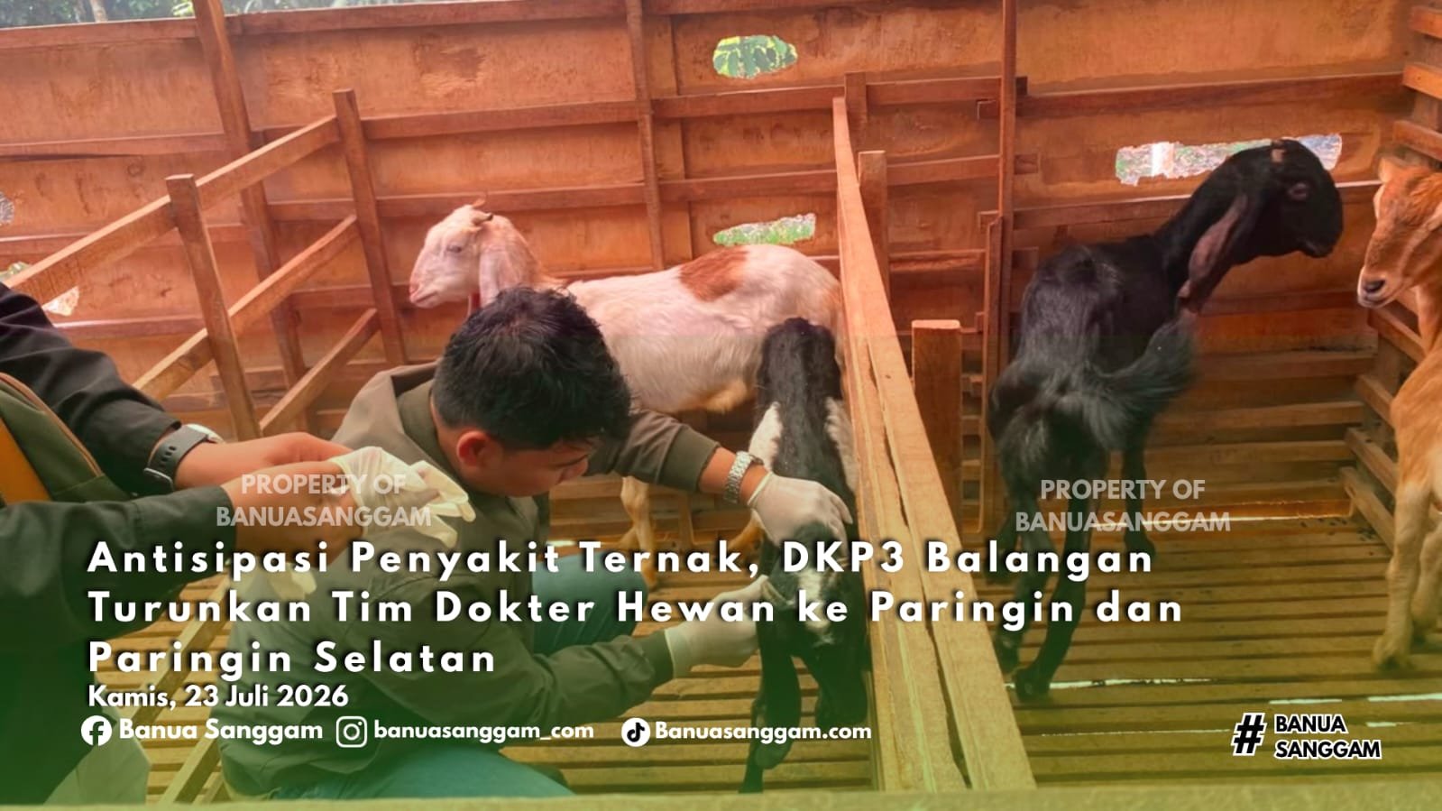 Antisipasi Penyakit Ternak, DKP3 Balangan Turunkan Tim Dokter Hewan ke Paringin dan Paringin Selatan